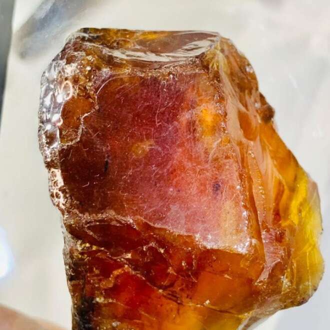 Natural rough Amber big size 43.77 grams (218 carats )